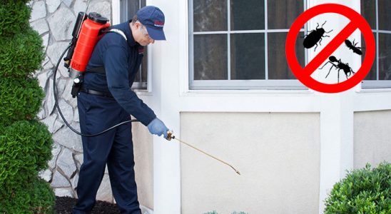 Kars Karınca İlaçlama böcek ilaçlama ve haşere kontrolü — ilaclama-tr.com